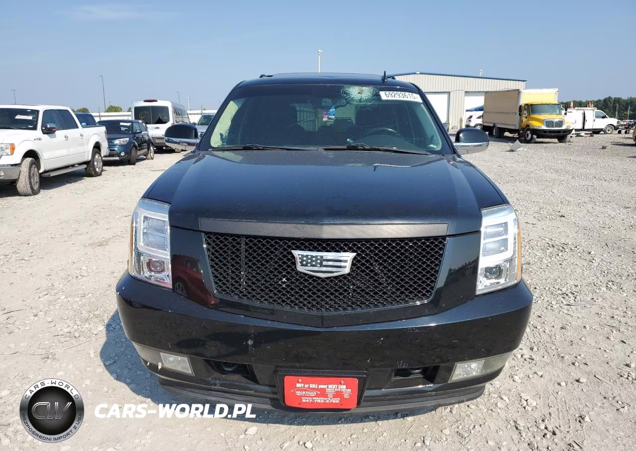 2012 Cadillac Escalade Luxury VIN:1GYS4BEF1CR119790 - 10