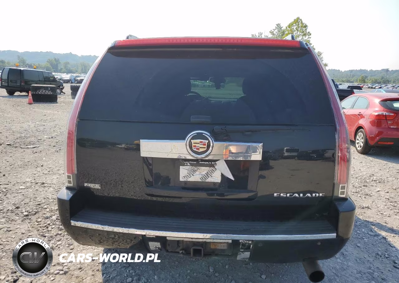 2012 Cadillac Escalade Luxury VIN:1GYS4BEF1CR119790 - 12