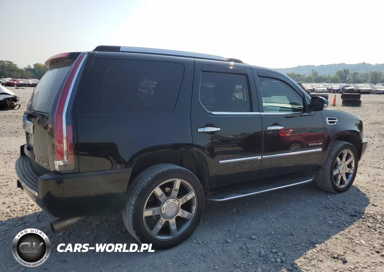 2012 Cadillac Escalade Luxury VIN:1GYS4BEF1CR119790 - 6