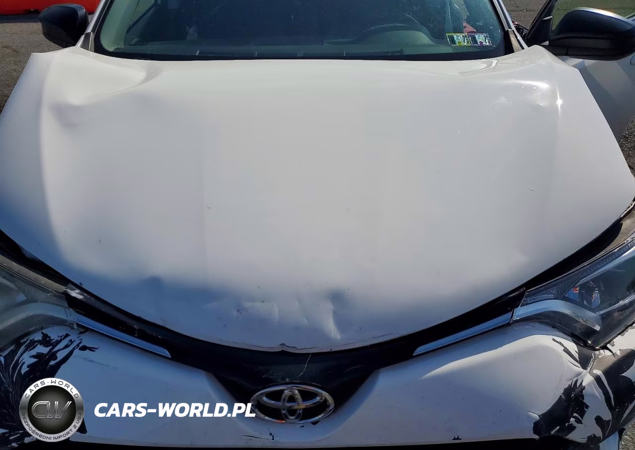 2016 Toyota Rav4 Le VIN:JTMBFREV9GJ064638 - 12