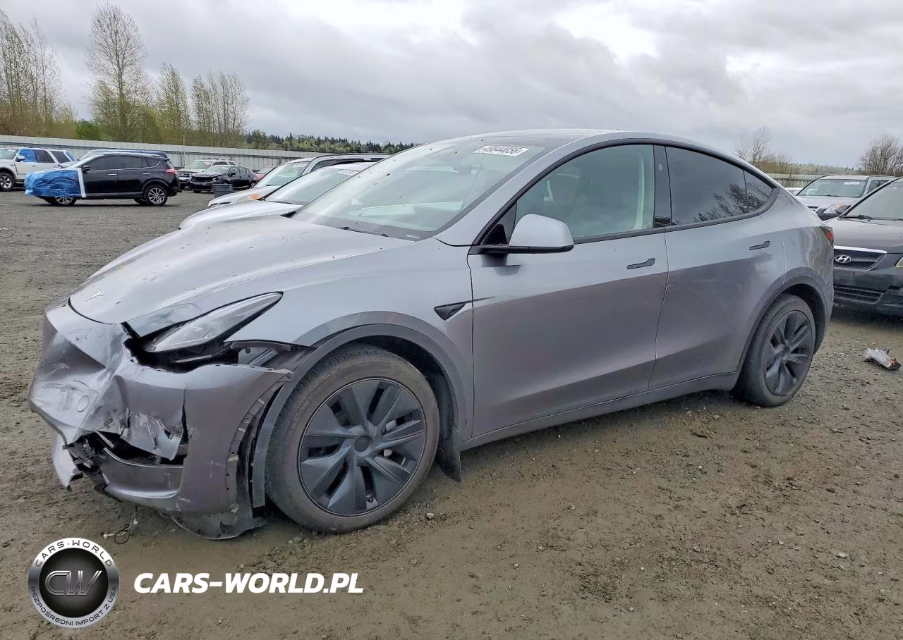 2024 Tesla Model Y