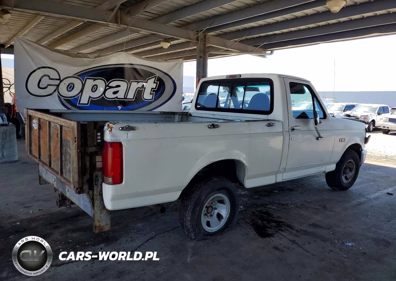 1996 Ford F-150 VIN:2FTEF15N7TCA15042 - 3