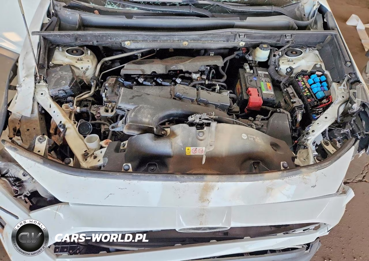 2019 Toyota Rav4 Xle VIN:JTMW1RFV6KD501596 - 12