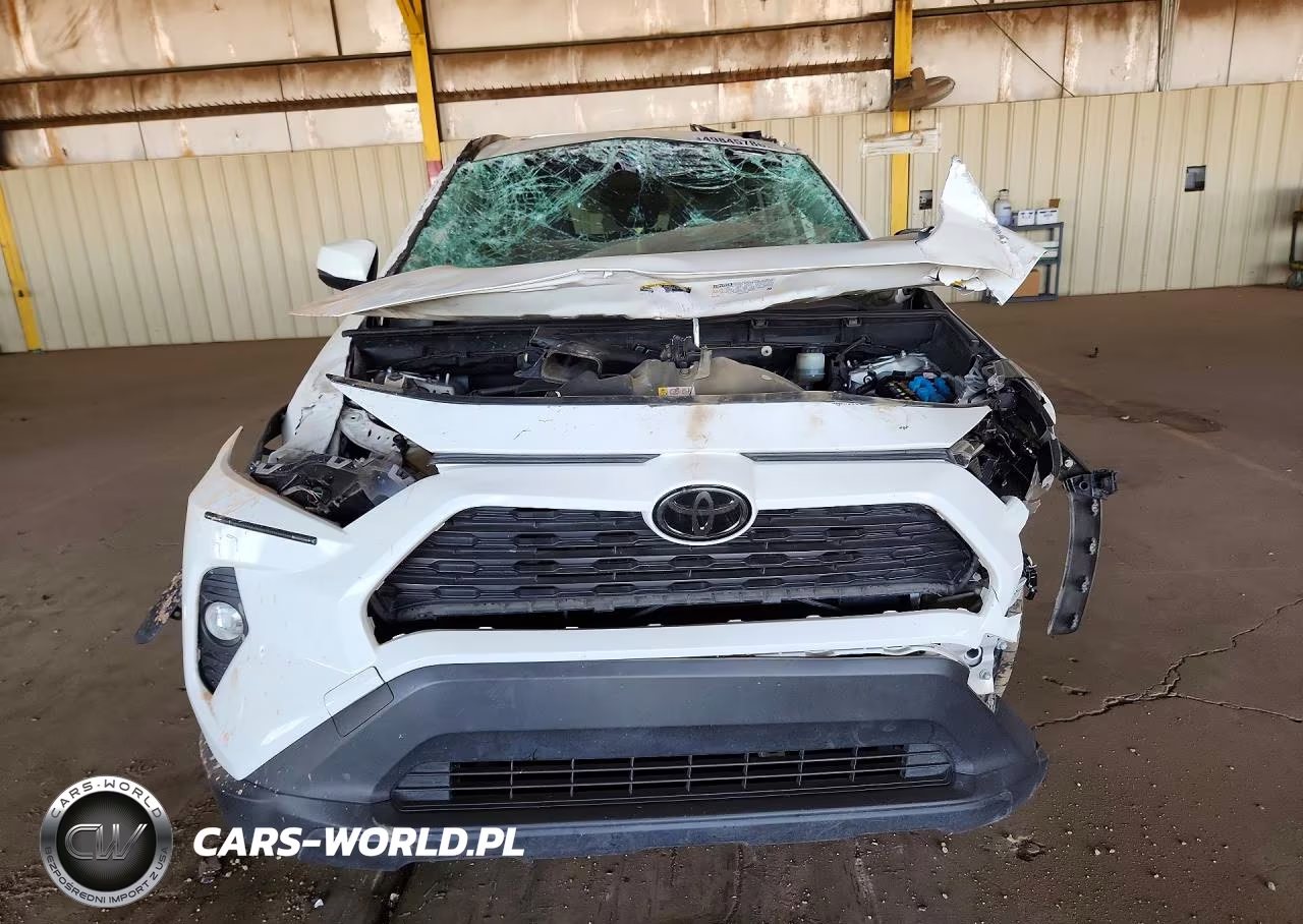 2019 Toyota Rav4 Xle VIN:JTMW1RFV6KD501596 - 5