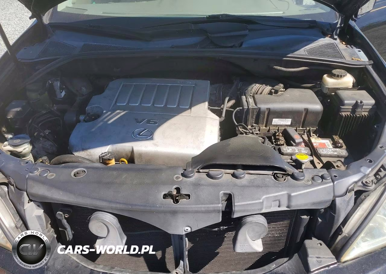 2007 Lexus Rx 350 VIN:2T2GK31U67C011768 - 12