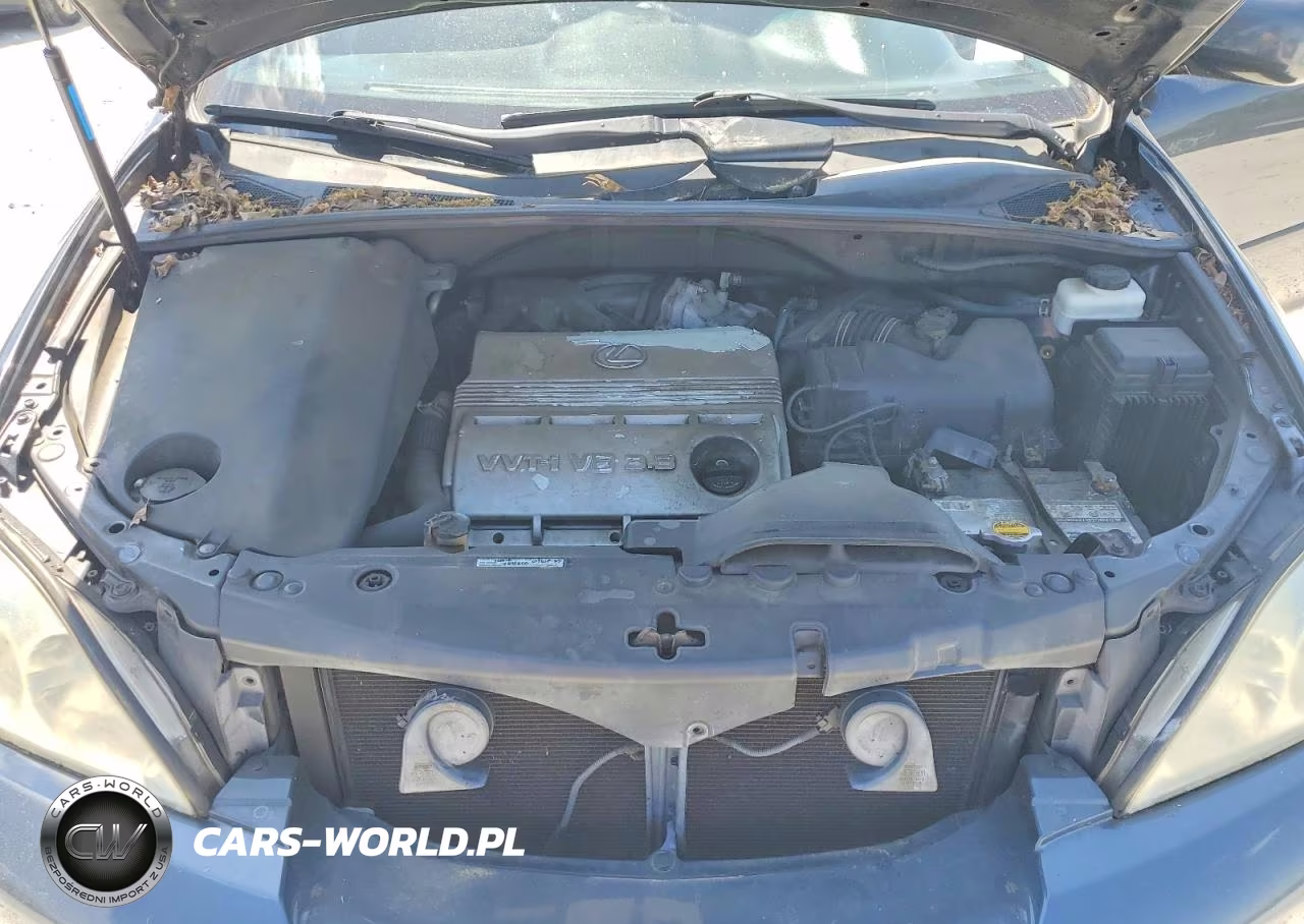 2004 Lexus Rx 330 VIN:2T2GA31U54C002350 - 12