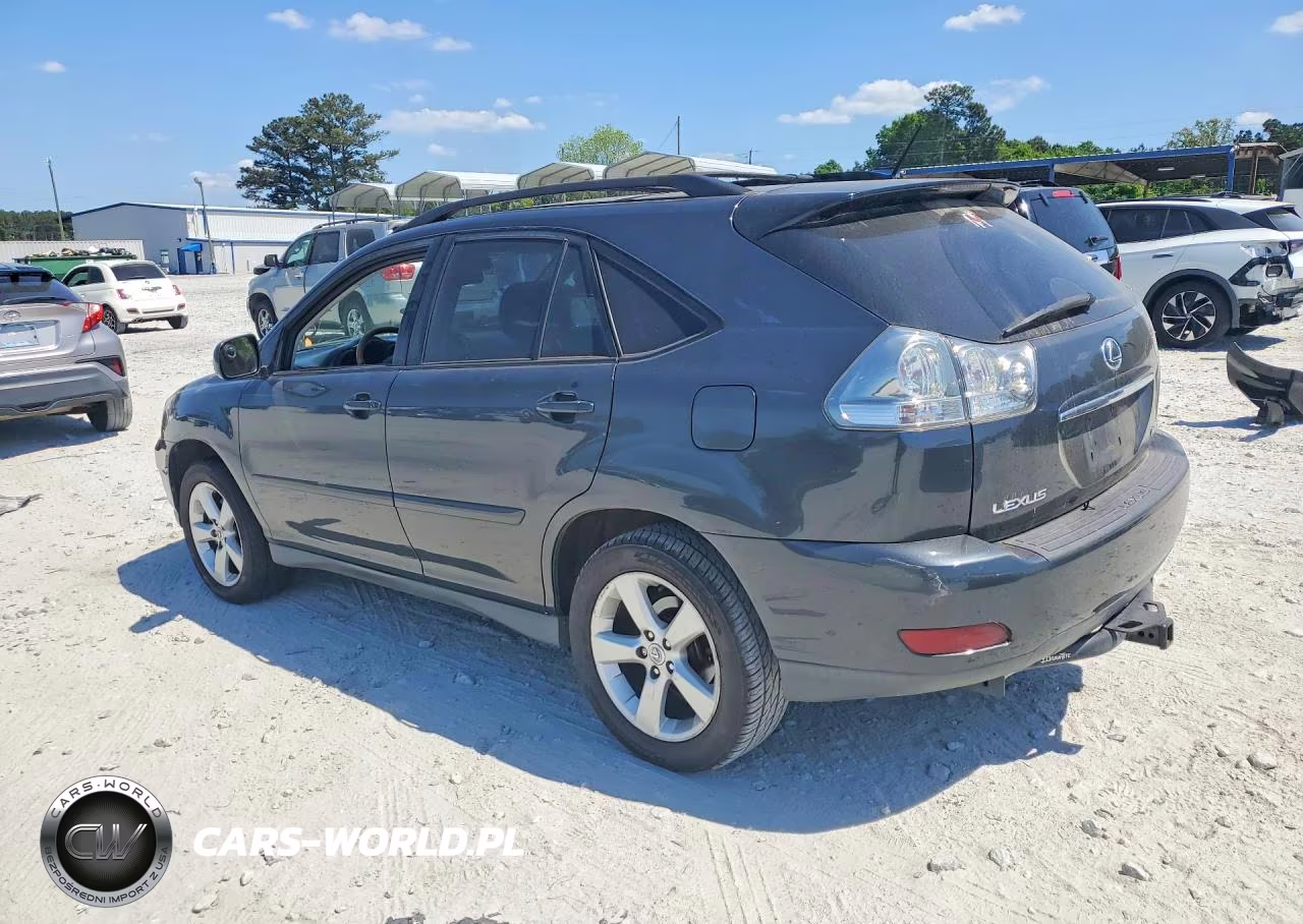 2004 Lexus Rx 330 VIN:2T2GA31U54C002350 - 2