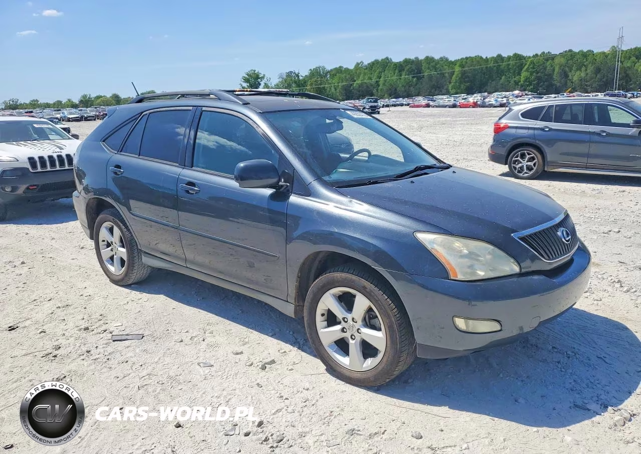 2004 Lexus Rx 330 VIN:2T2GA31U54C002350 - 4