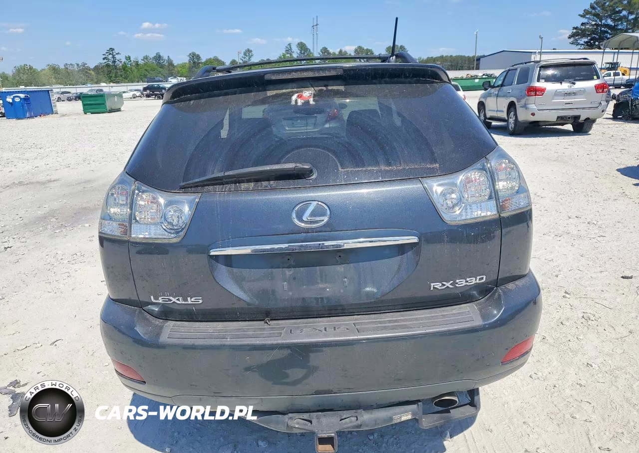 2004 Lexus Rx 330 VIN:2T2GA31U54C002350 - 6