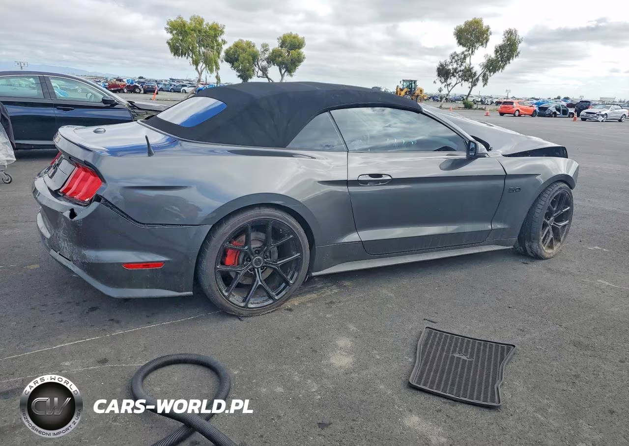 2019 Ford Mustang Gt VIN:1FATP8FF6K5172337 - 3
