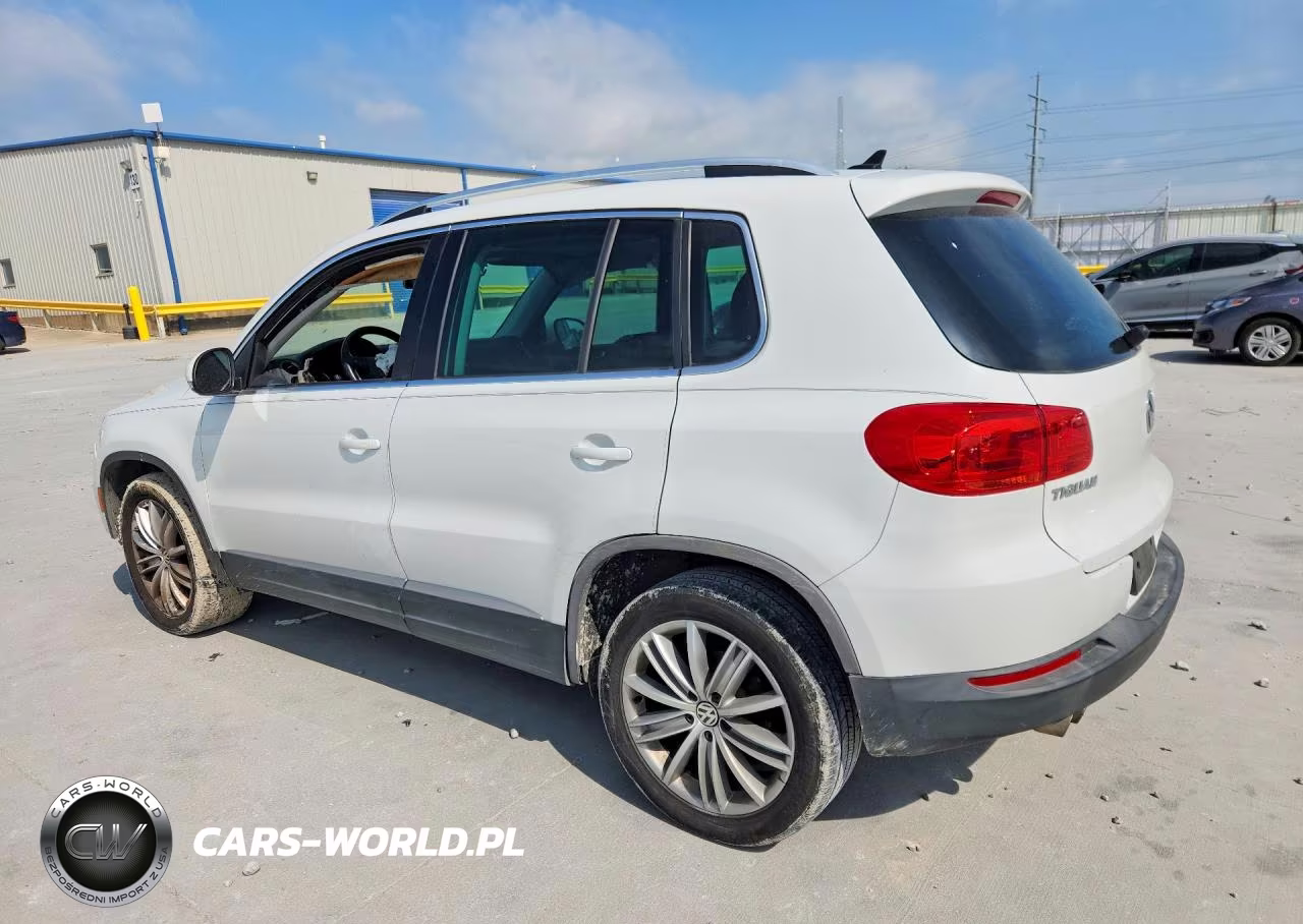 2015 Volkswagen Tiguan S VIN:WVGAV7AXXFW507709 - 2
