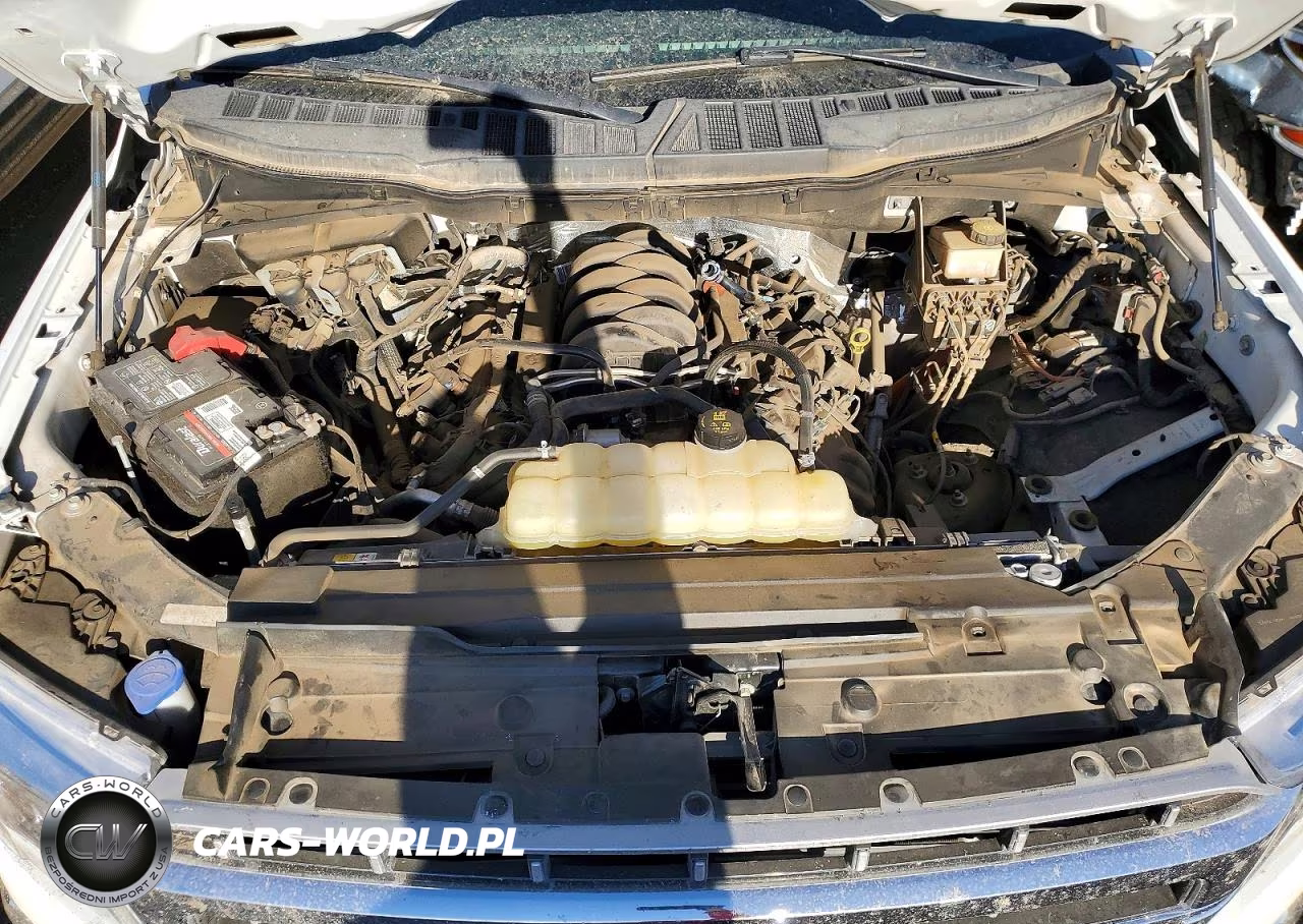 2023 Ford F150 Supercrew VIN:1FTFW1E55PKE15039 - 11
