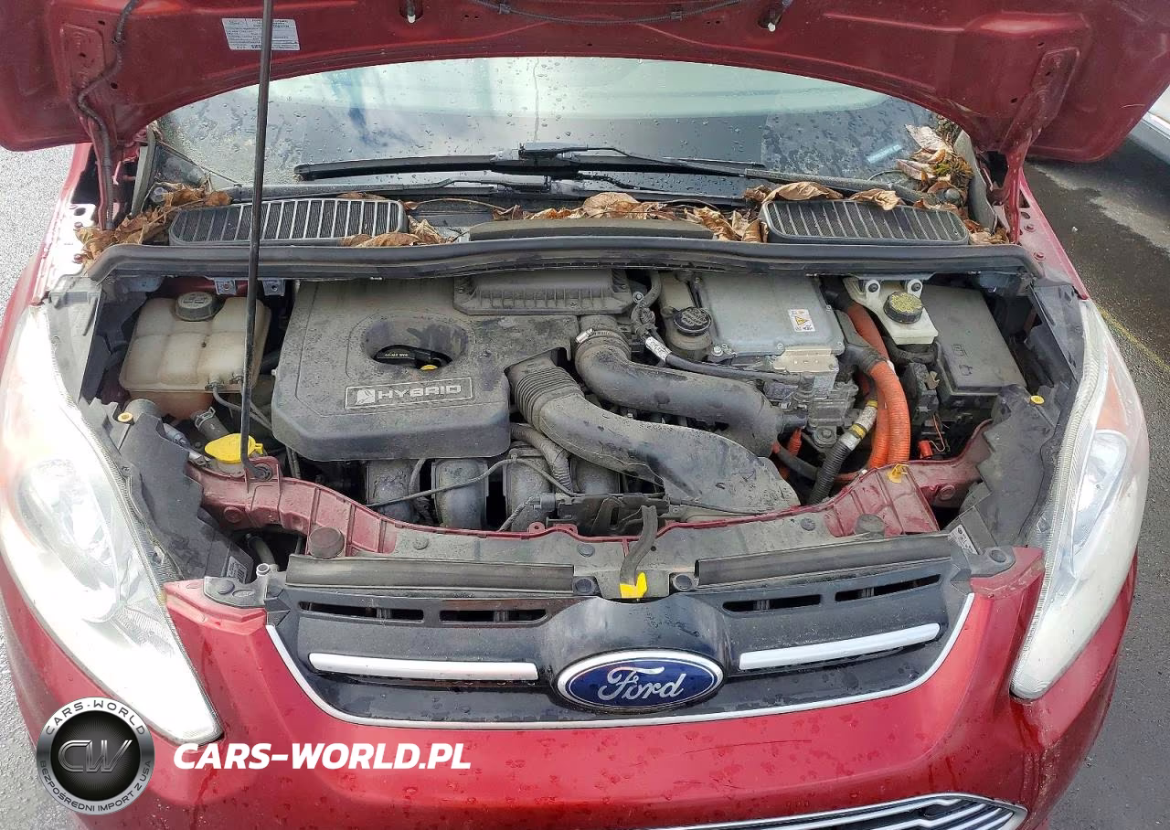 2013 Ford C-Max Sel VIN:1FADP5BU2DL534119 - 12