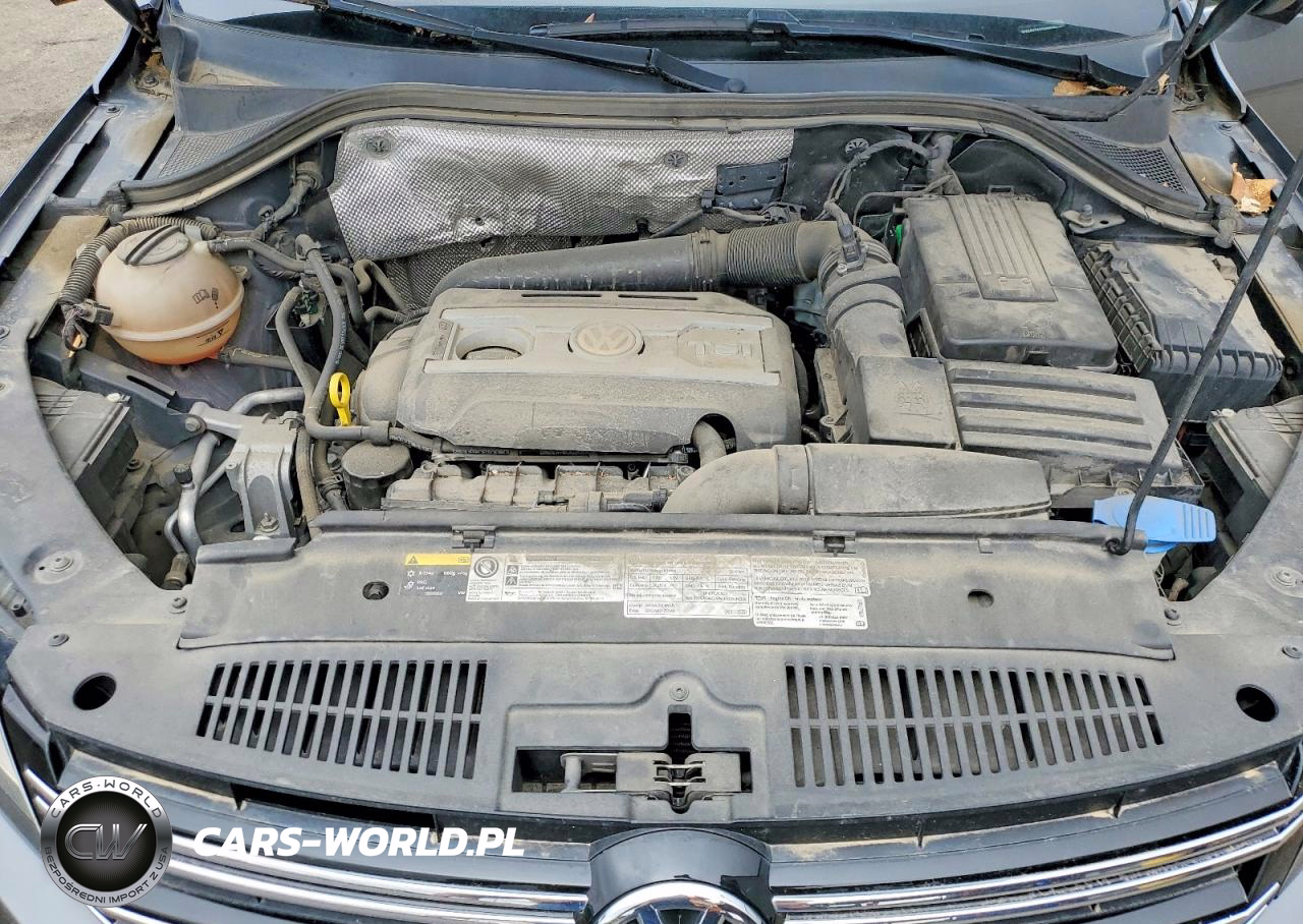 2016 Volkswagen Tiguan S VIN:WVGBV7AX0GW510480 - 12