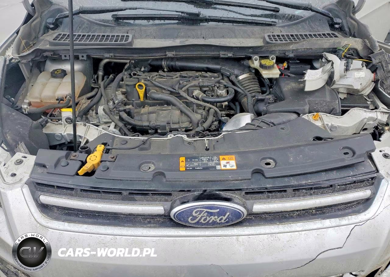 2013 Ford Escape Sel VIN:1FMCU9HX6DUC71890 - 11