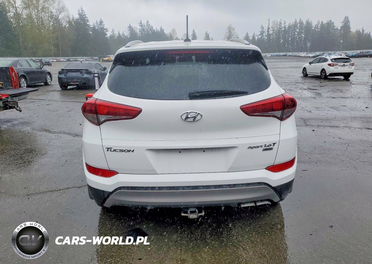 2016 Hyundai Tucson Sport VIN:KM8J3CA28GU073547 - 6