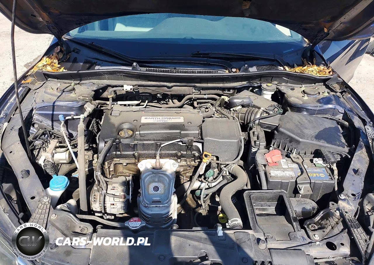 2014 Honda Accord Lx VIN:1HGCR2F31EA069993 - 11