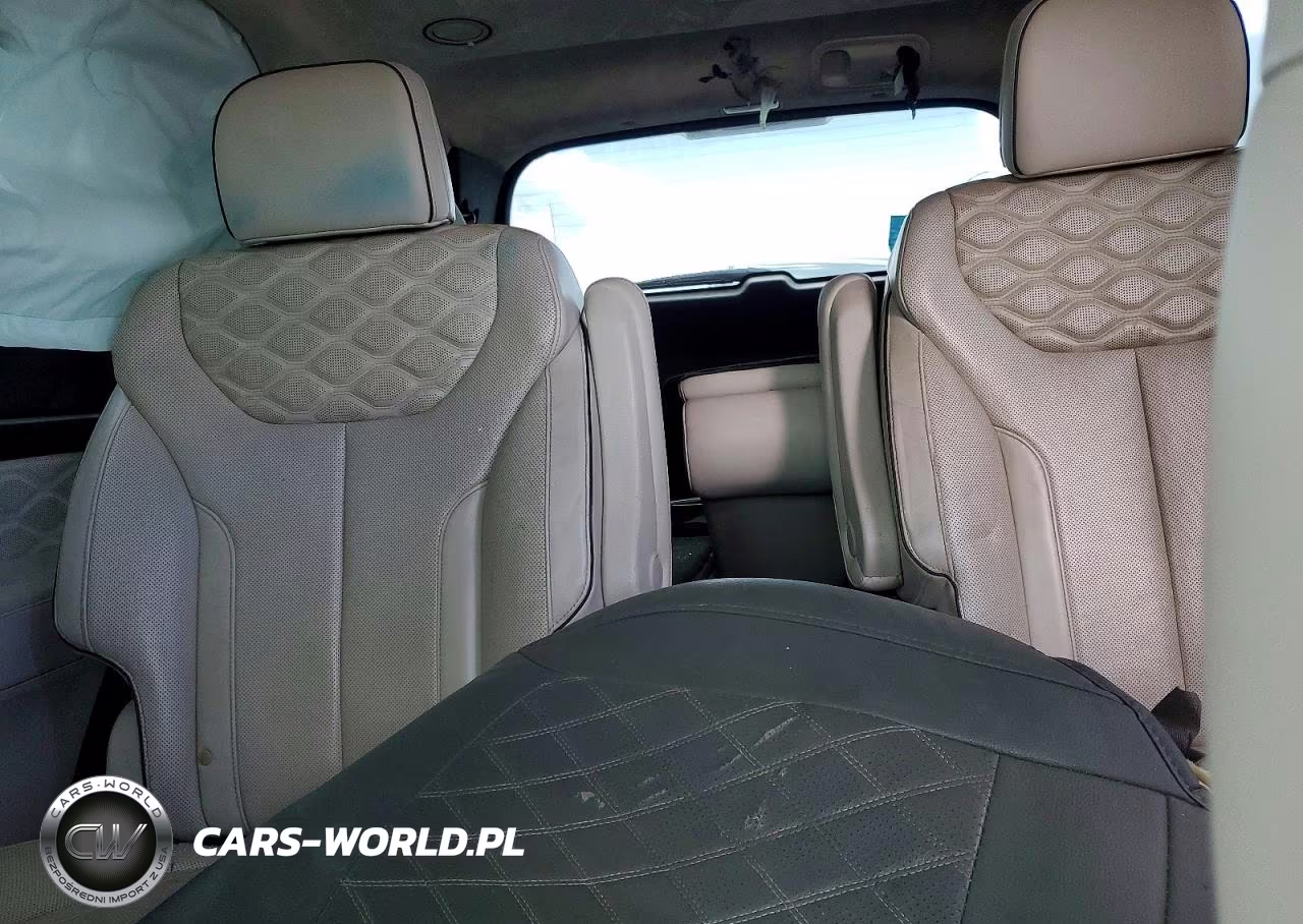 2020 Hyundai Palisade Limited VIN:KM8R54HEXLU120672 - 10