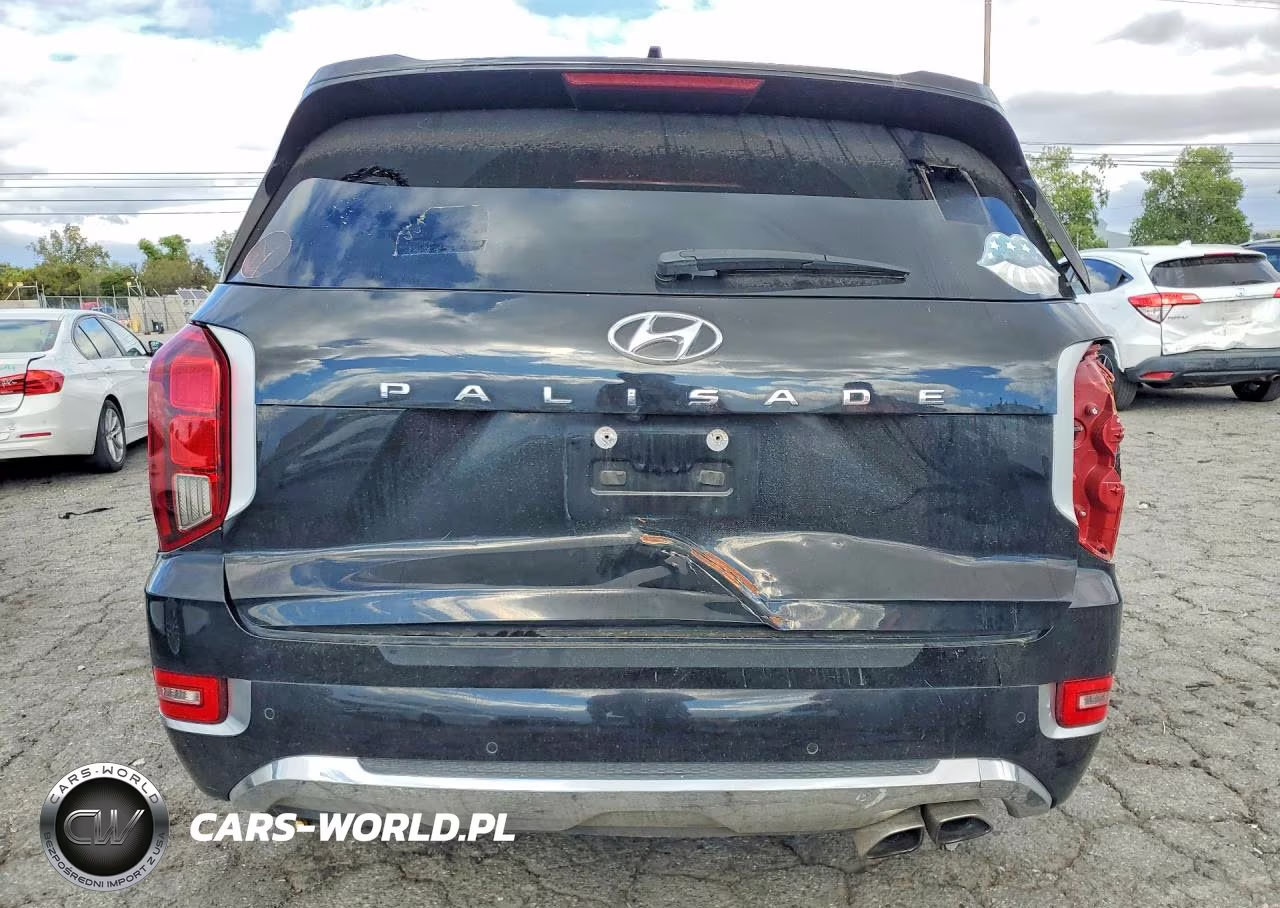 2020 Hyundai Palisade Limited VIN:KM8R54HEXLU120672 - 6