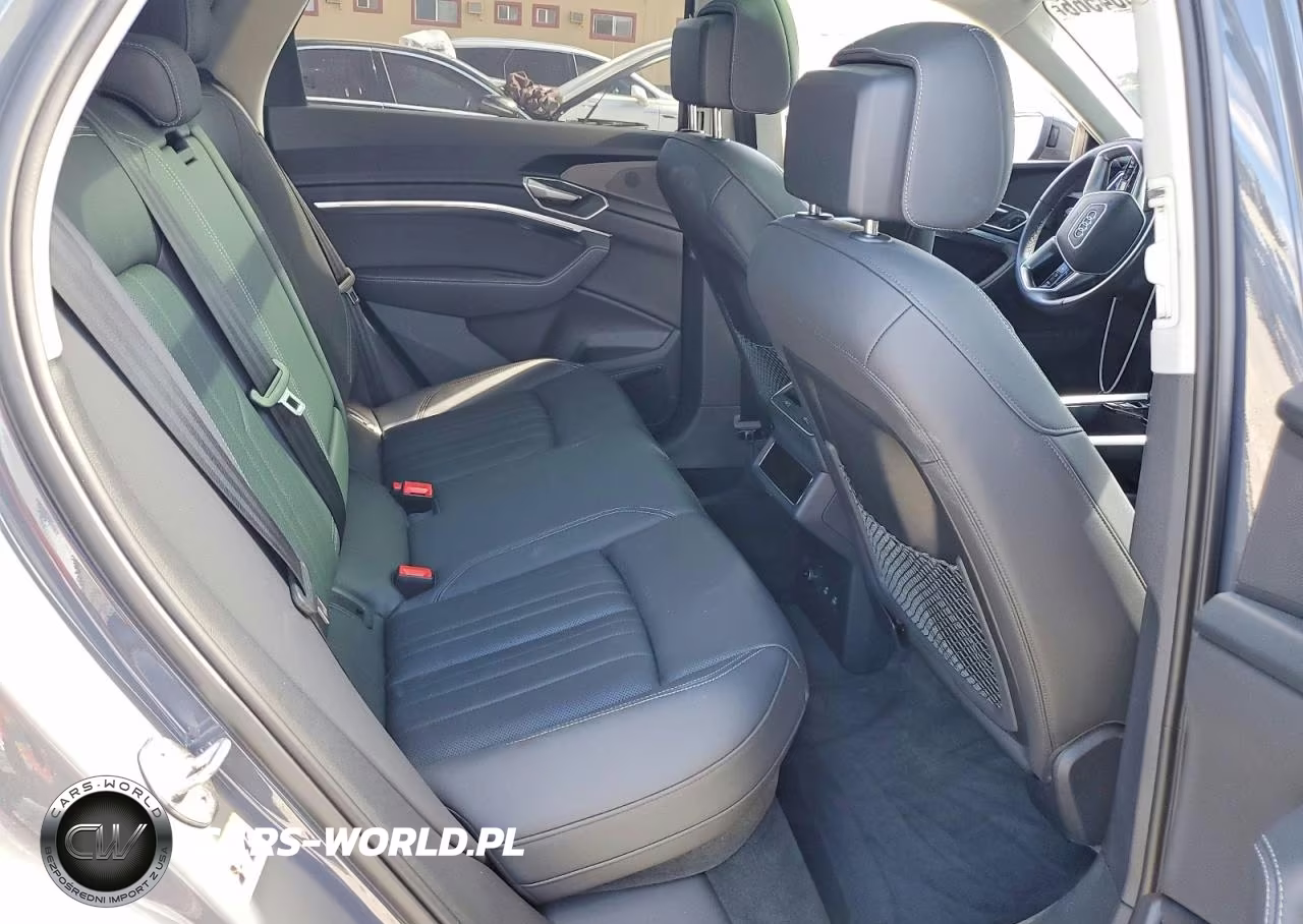 2024 Audi Q8 E-Tron Premium Plus VIN:WA15AAGE0RB061161 - 10