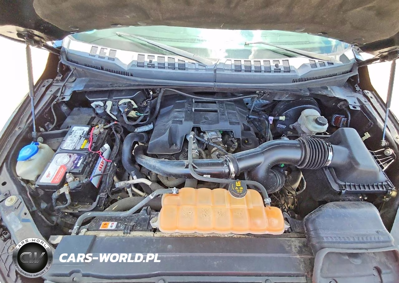 2018 Ford F150 Supercrew VIN:1FTEW1CP3JFB51609 - 11