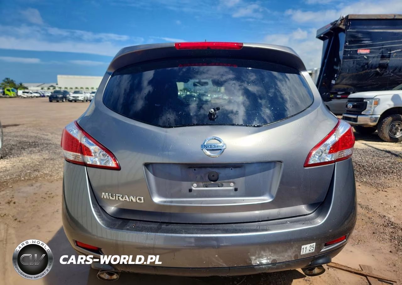2013 Nissan Murano S VIN:JN8AZ1MU1DW200454 - 6