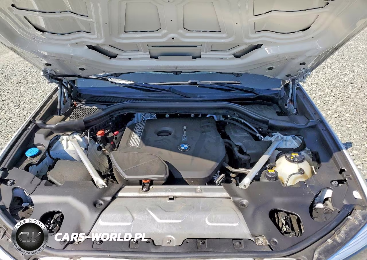 2019 BMW X3 Sdrive30I VIN:5UXTR7C50KLF26408 - 12
