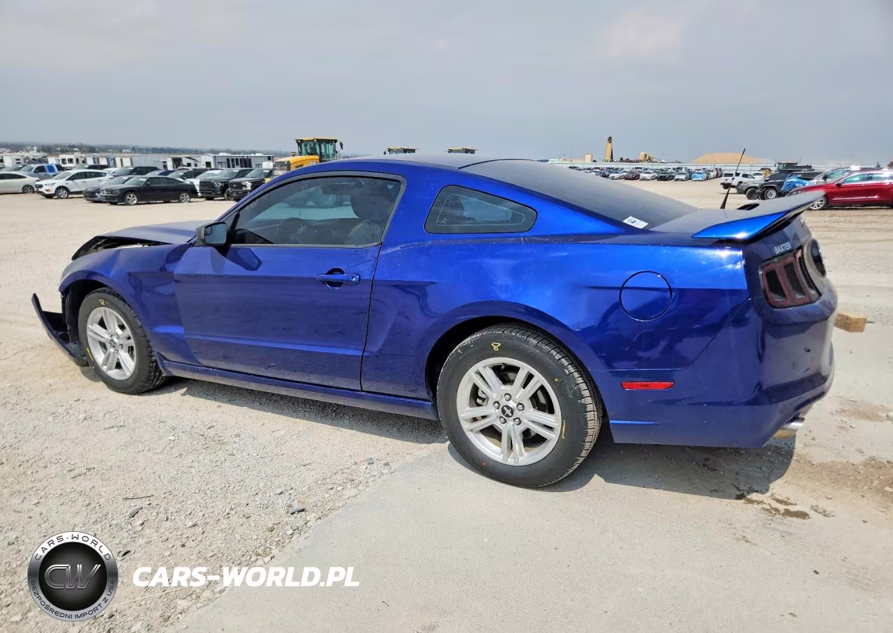 2014 Ford Mustang VIN:1ZVBP8AM6E5332861 - 2