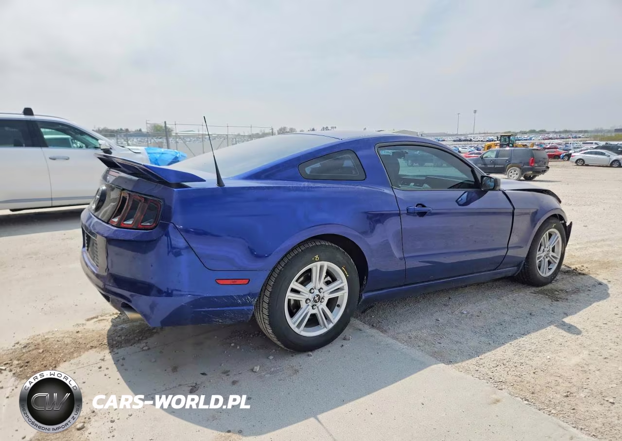 2014 Ford Mustang VIN:1ZVBP8AM6E5332861 - 3