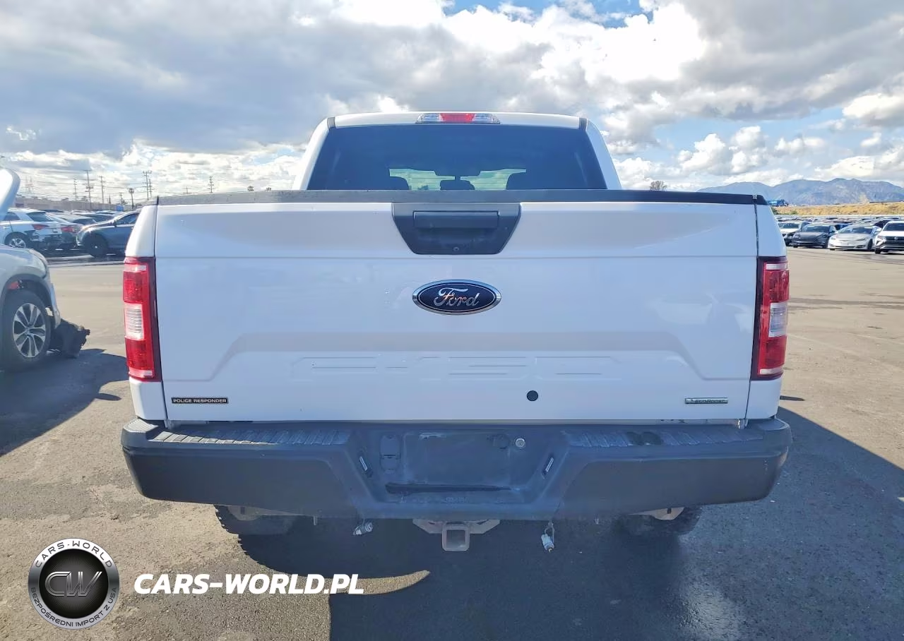 2020 Ford F-150 Police Responder Xl VIN:1FTEW1P4XLKE82293 - 6