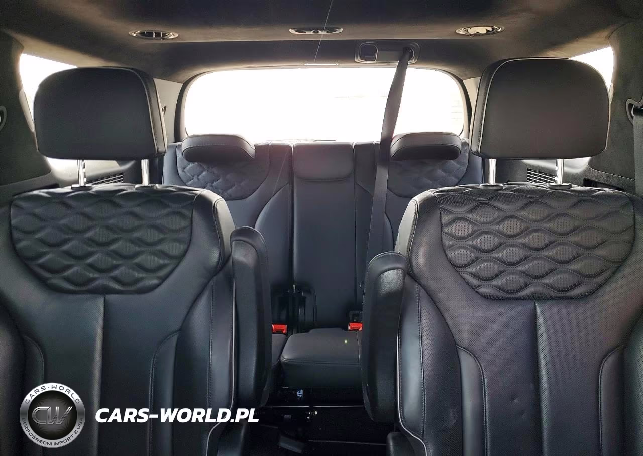 2020 Hyundai Palisade Limited VIN:KM8R5DHE0LU130594 - 10