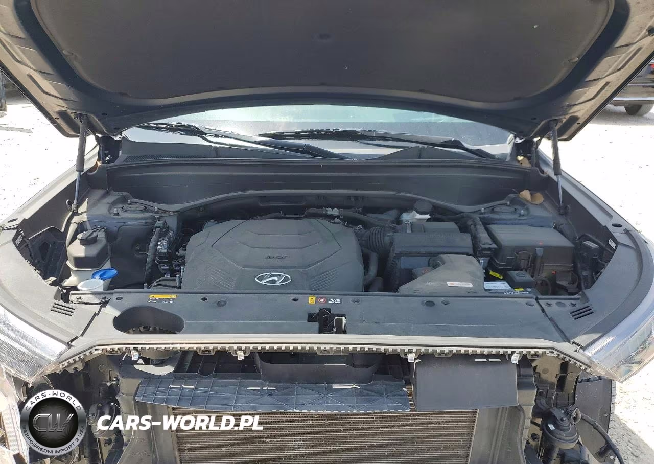 2020 Hyundai Palisade Limited VIN:KM8R5DHE0LU130594 - 12