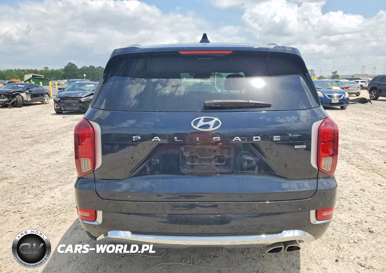 2020 Hyundai Palisade Limited VIN:KM8R5DHE0LU130594 - 6