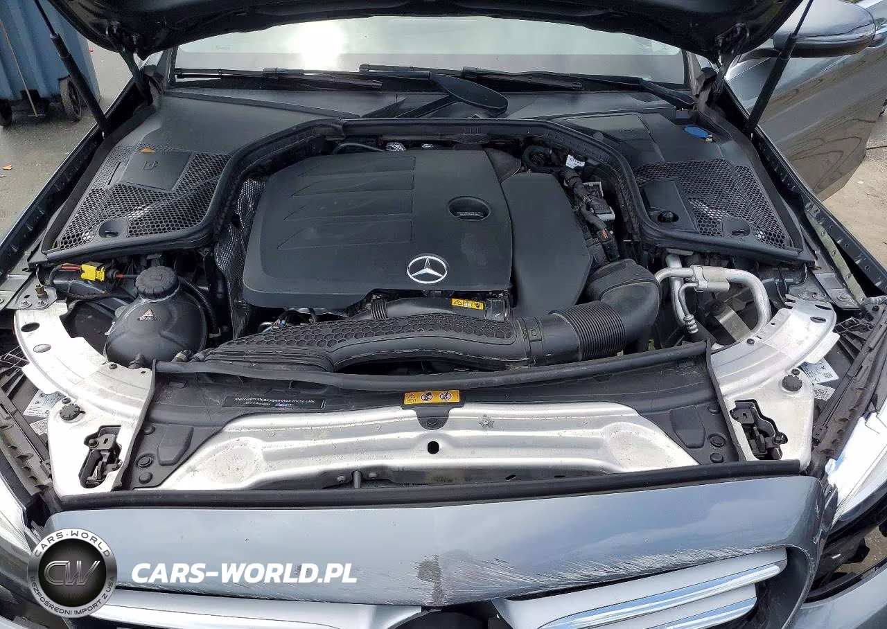 2019 Mercedes-Benz C 300 VIN:55SWF8DB2KU295592 - 11