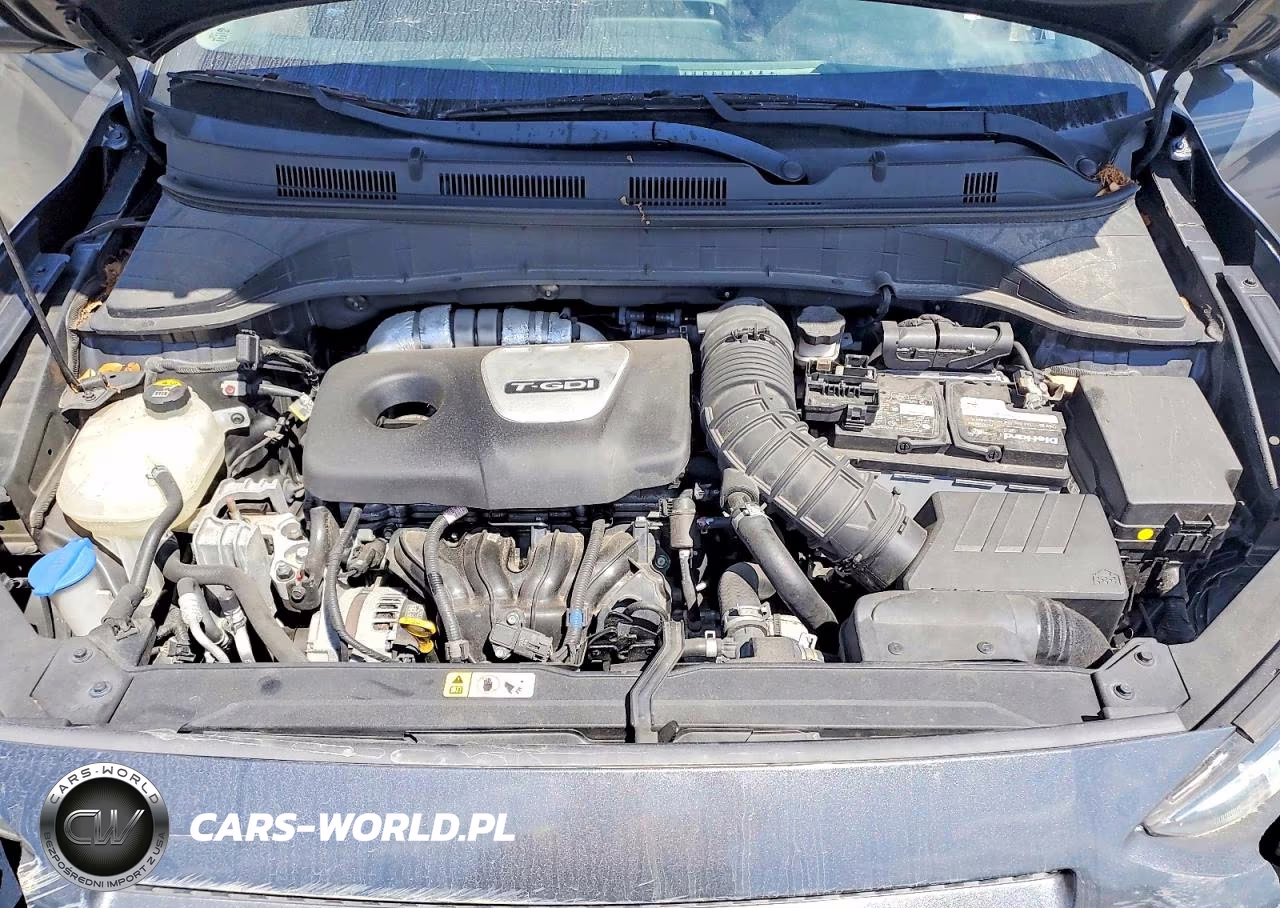 2019 Hyundai Kona Limited VIN:KM8K33A50KU201982 - 11