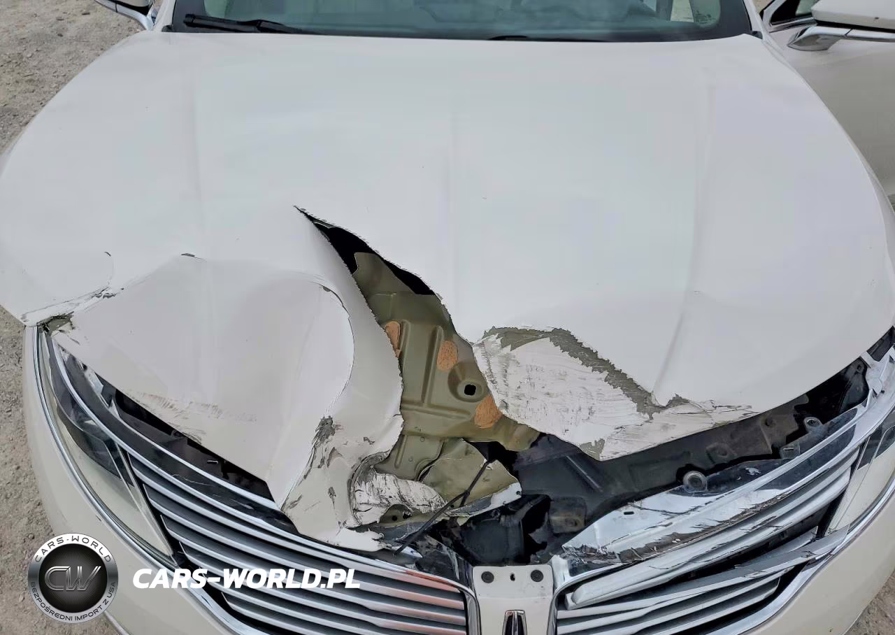 2016 Lincoln Mkz VIN:3LN6L2GK5GR625150 - 11