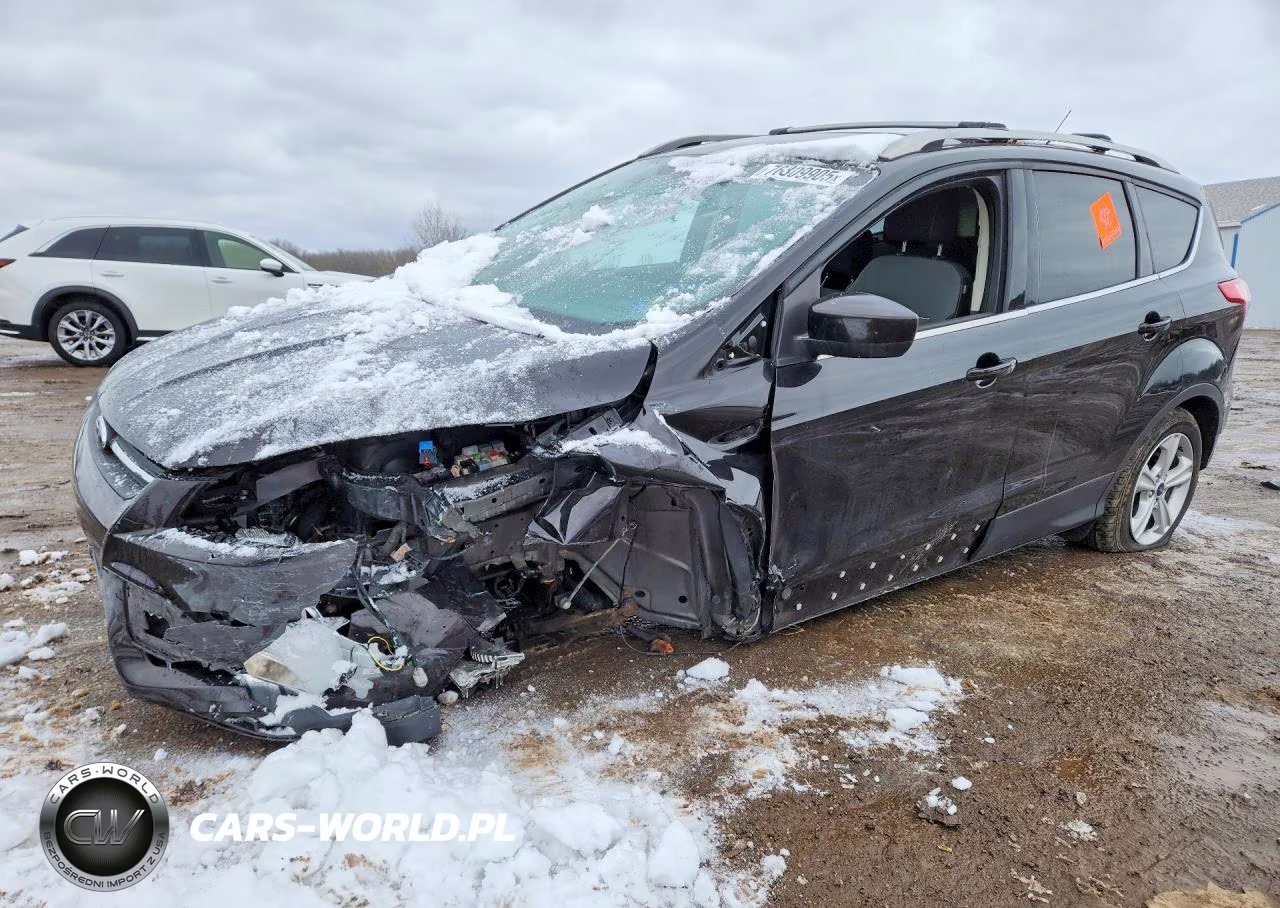 2013 Ford Escape Se