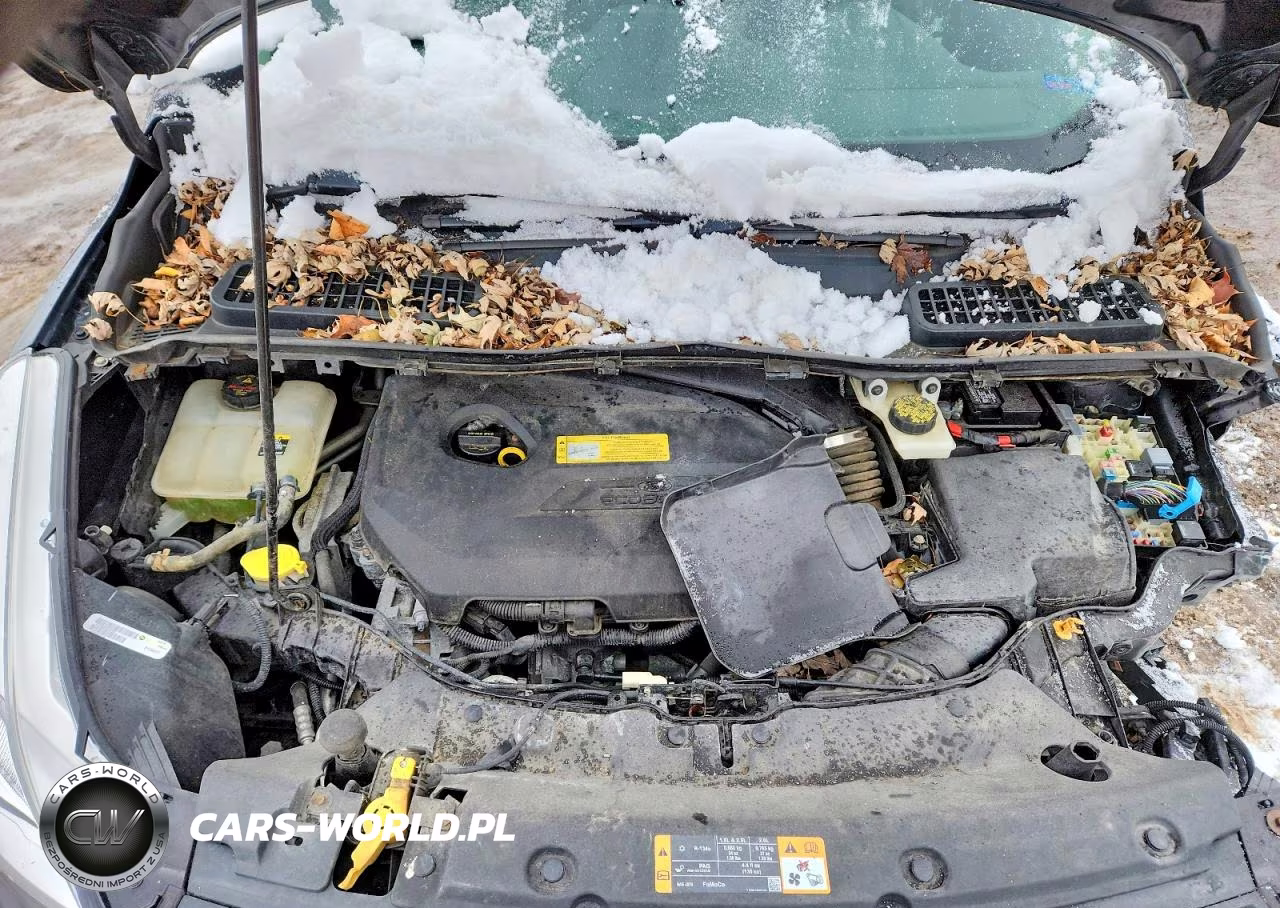 2013 Ford Escape Se VIN:1FMCU9GX3DUD31514 - 12