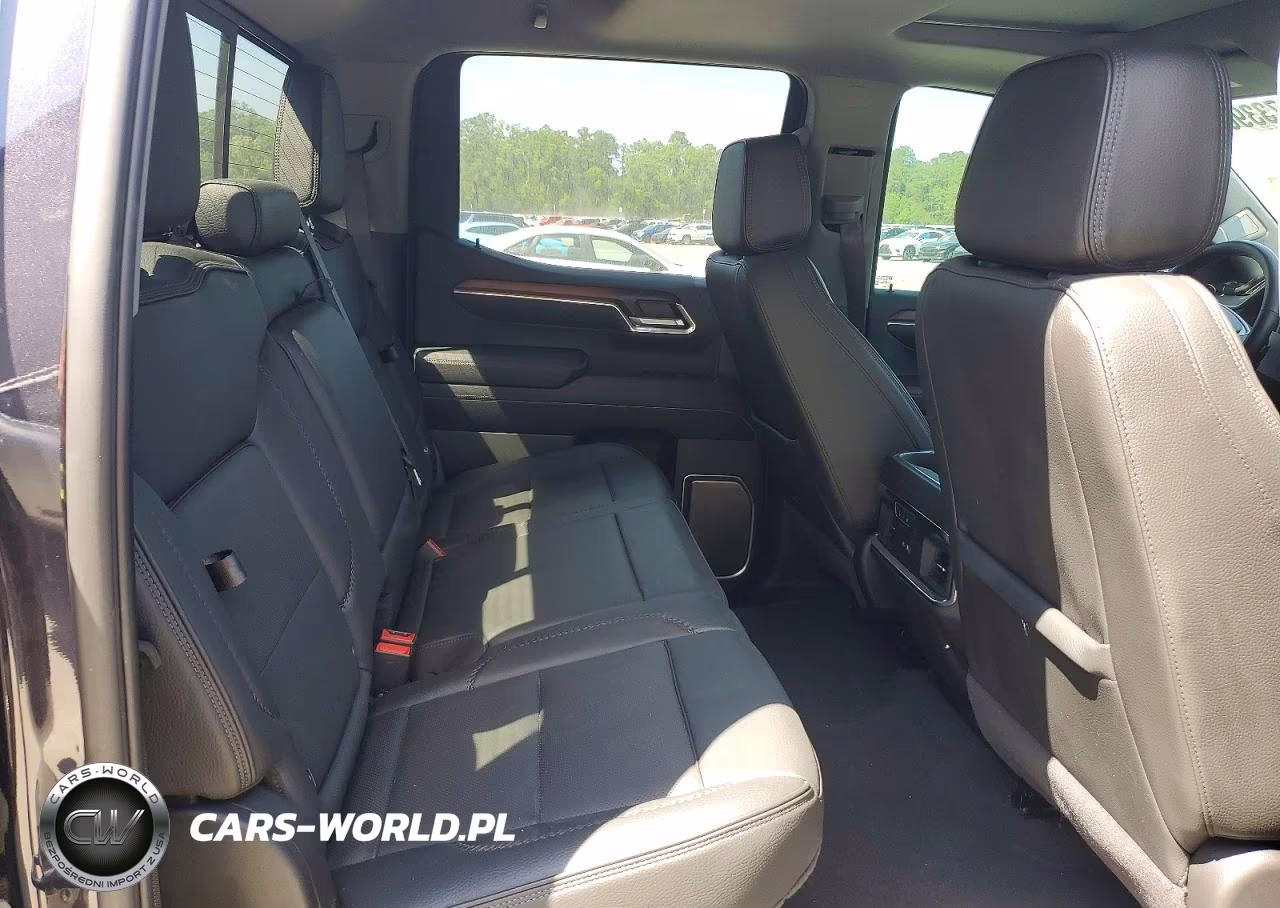2025 GMC Sierra C1500 Denali VIN:3GTPHGEDXSG103484 - 10