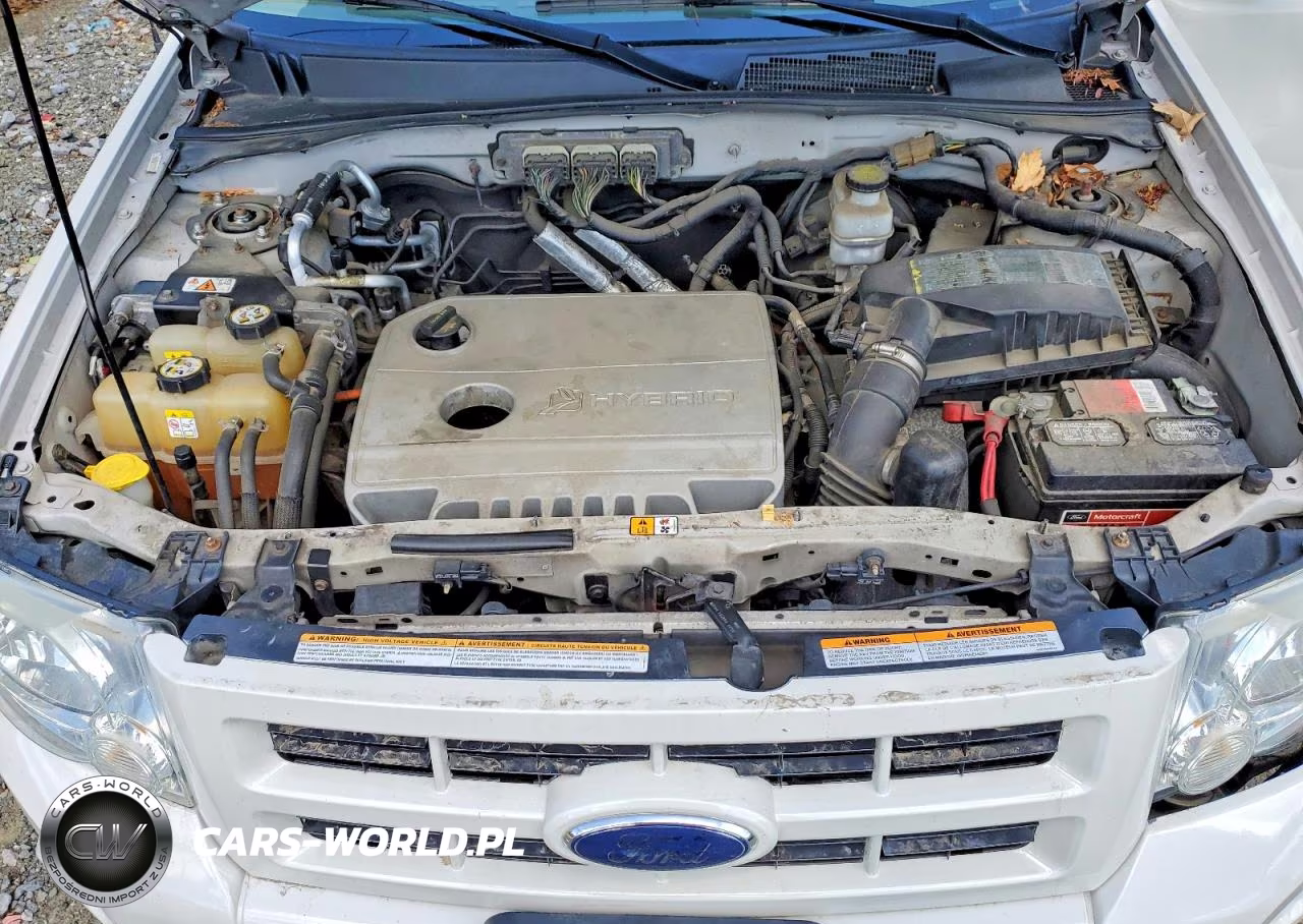 2009 Ford Escape Hybrid VIN:1FMCU49369KB30223 - 12