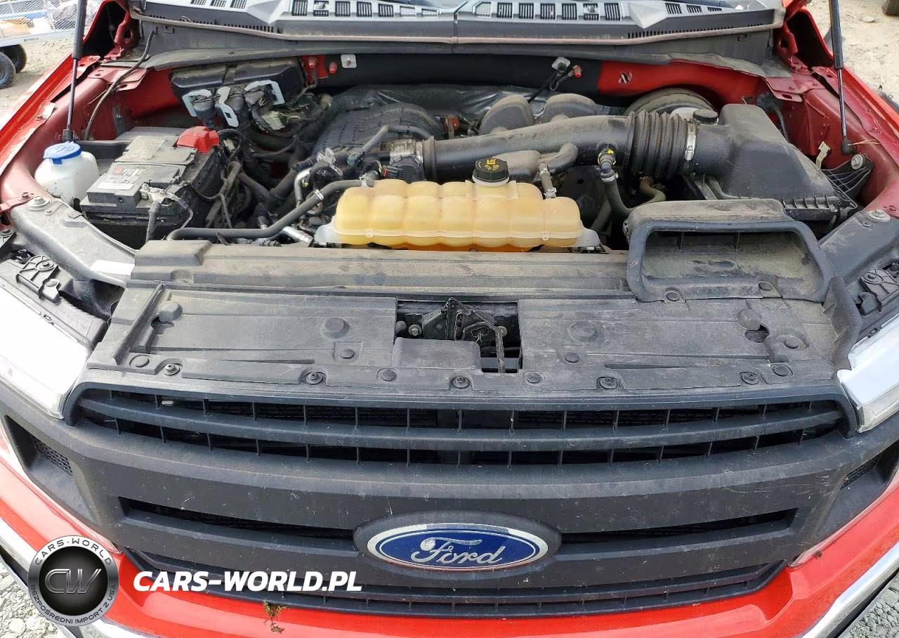 2019 Ford F150 VIN:1FTMF1CB9KKE44990 - 11