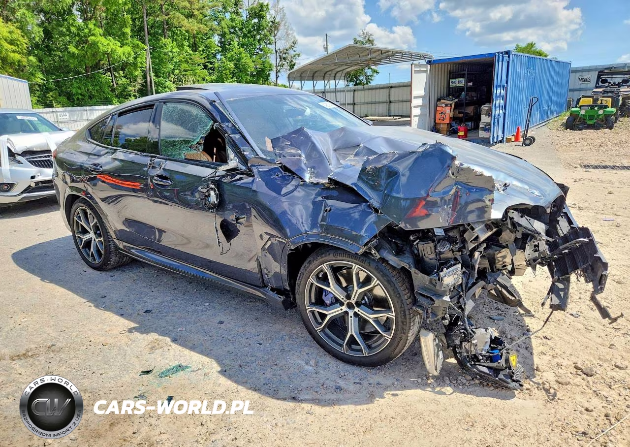 2020 BMW X6 xDrive40I VIN:5UXCY6C0XL9D54551 - 4