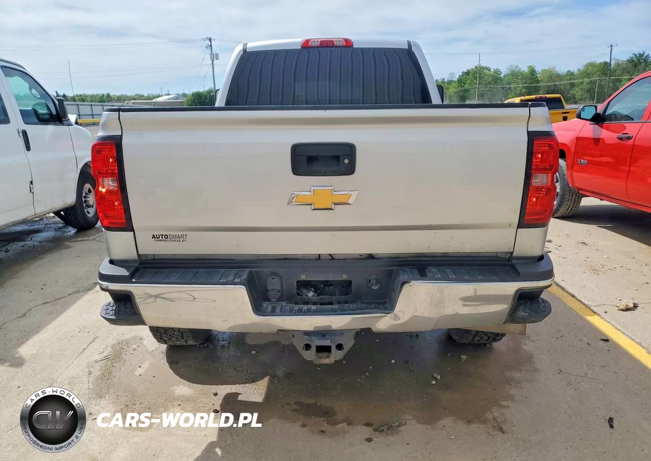 2019 Chevrolet Silverado K2500 Heavy Duty VIN:1GC1KREY4KF168841 - 6