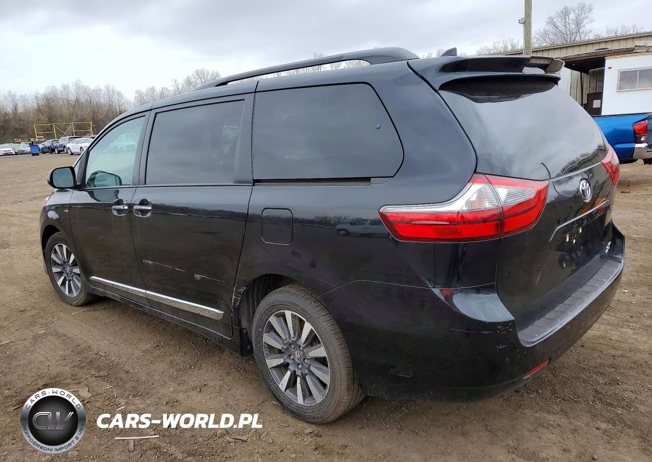 2020 Toyota Sienna Xle 7-Passenger VIN:5TDDZ3DC7LS229497 - 2