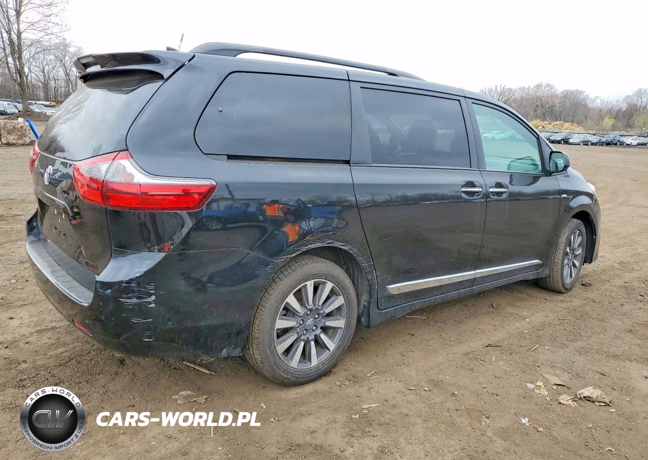 2020 Toyota Sienna Xle 7-Passenger VIN:5TDDZ3DC7LS229497 - 3