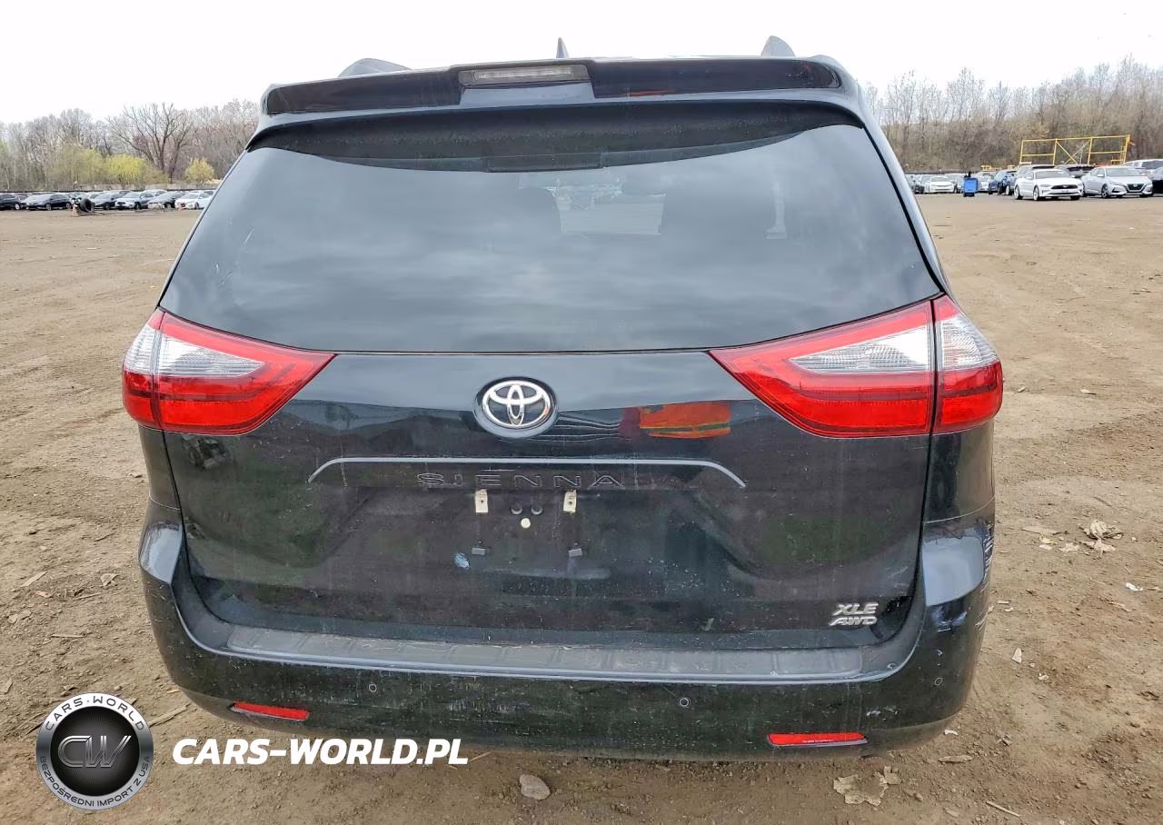 2020 Toyota Sienna Xle 7-Passenger VIN:5TDDZ3DC7LS229497 - 6