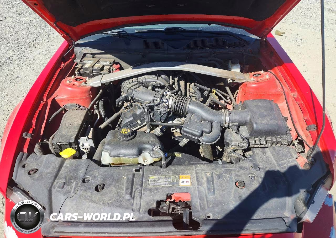 2013 Ford Mustang VIN:1ZVBP8EM7D5202712 - 11