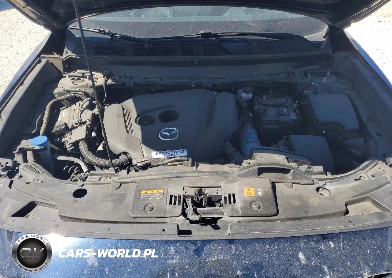 2022 Mazda Cx-9 Grand Touring VIN:JM3TCBDY2N0613669 - 12