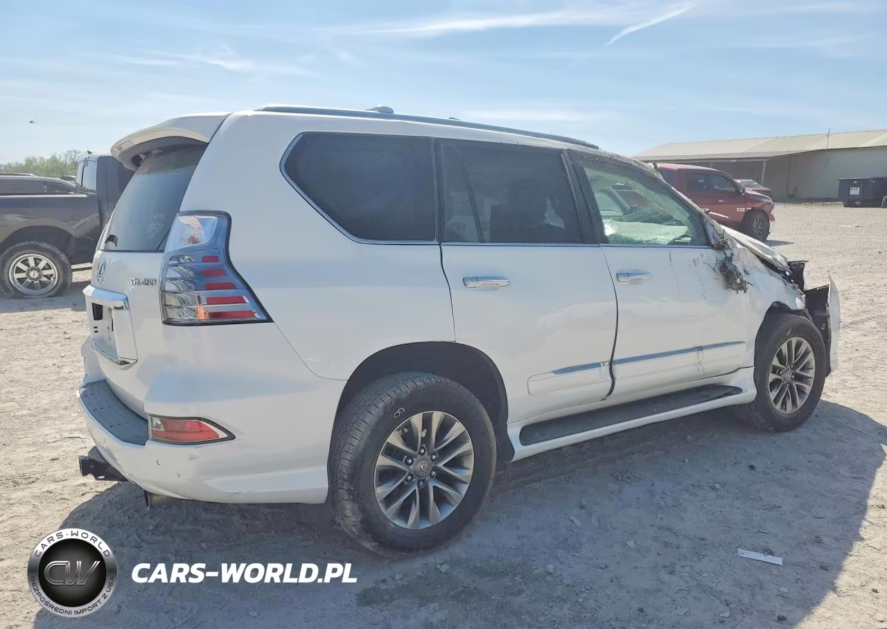 2018 Lexus Gx 460 Premium VIN:JTJJM7FX8J5181534 - 3