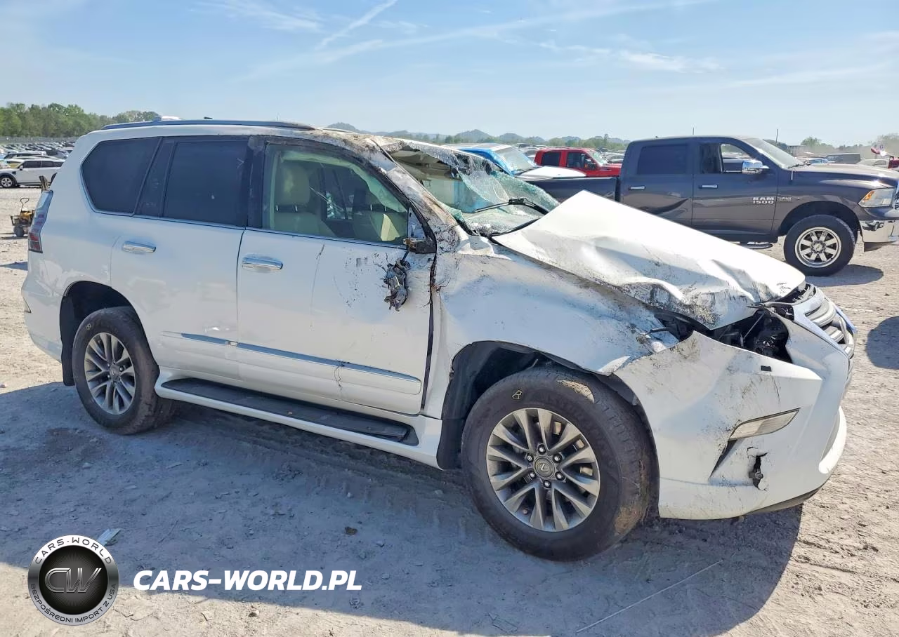 2018 Lexus Gx 460 Premium VIN:JTJJM7FX8J5181534 - 4